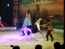  Circus YAKARI am 27.09.2024